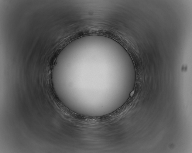 X0000101390914200807071001