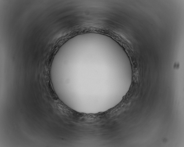 X0000101390917200807071001