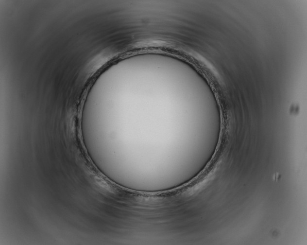 X0000101390921200807071001