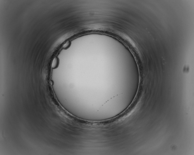 X0000101390922200807071001