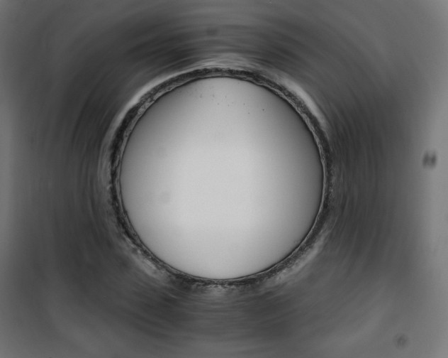 X0000101390923200807071001