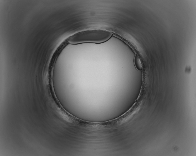 X0000101390924200807071001
