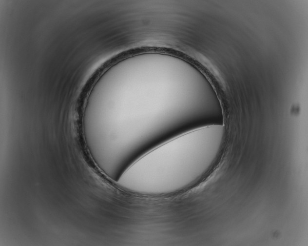 X0000101390926200807071001