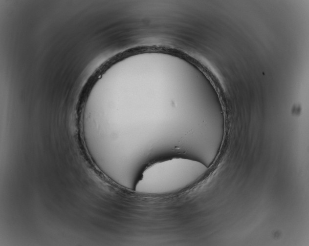X0000101390927200807071001