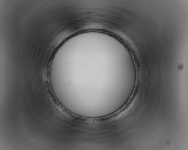 X0000101390929200807071001