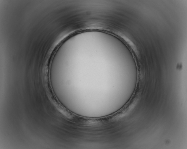 X0000101390933200807071001
