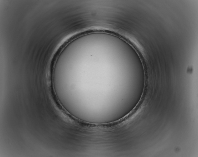 X0000101390934200807071002