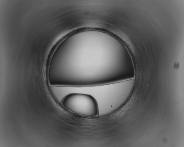 X0000101390935200807071002