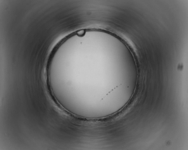 X0000101390936200807071002