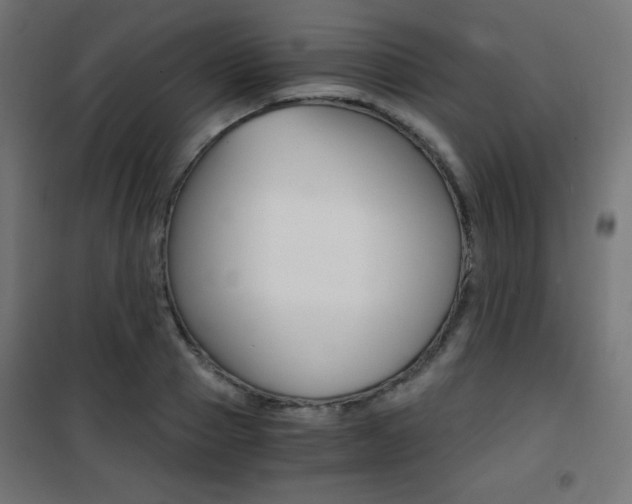 X0000101390937200807071002