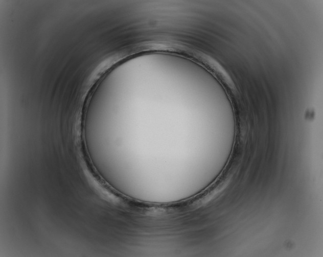 X0000101390938200807071002