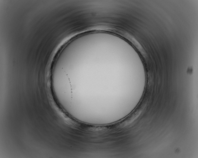 X0000101390939200807071002