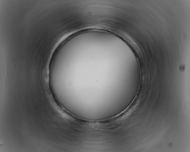 X0000101390940200807071002