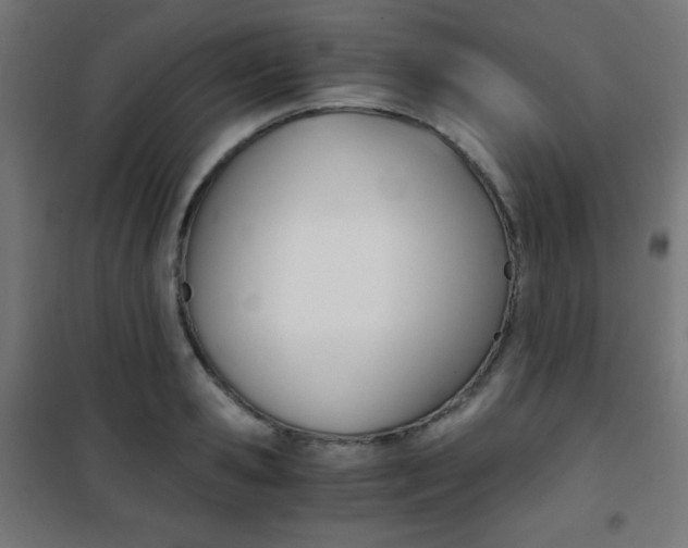 X0000101390941200807071002