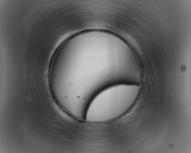 X0000101390942200807071002