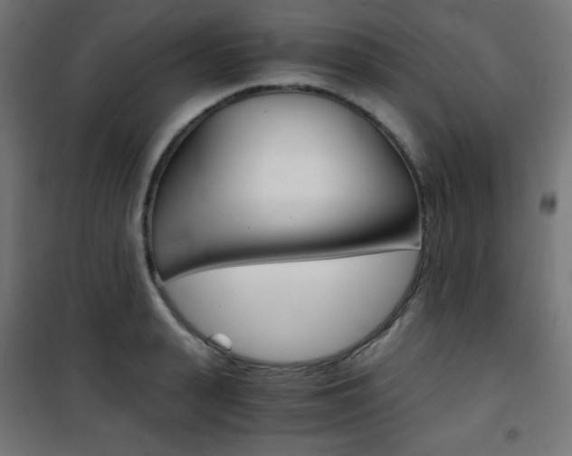 X0000101390943200807071002