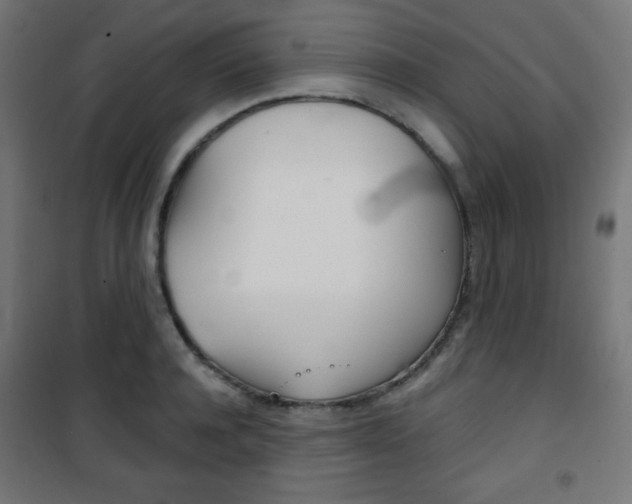 X0000101390944200807071002