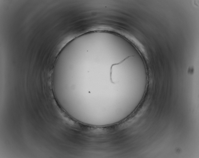X0000101390945200807071002