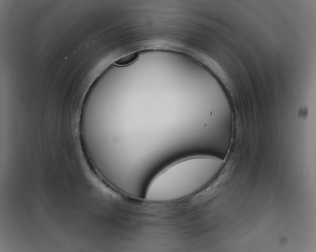 X0000101390946200807071002