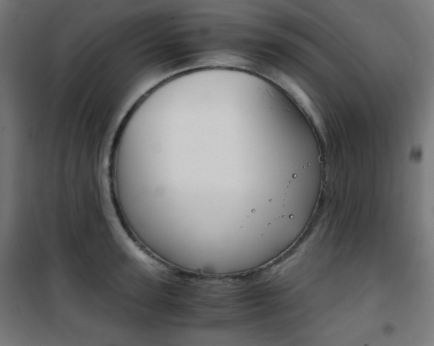 X0000101390947200807071002