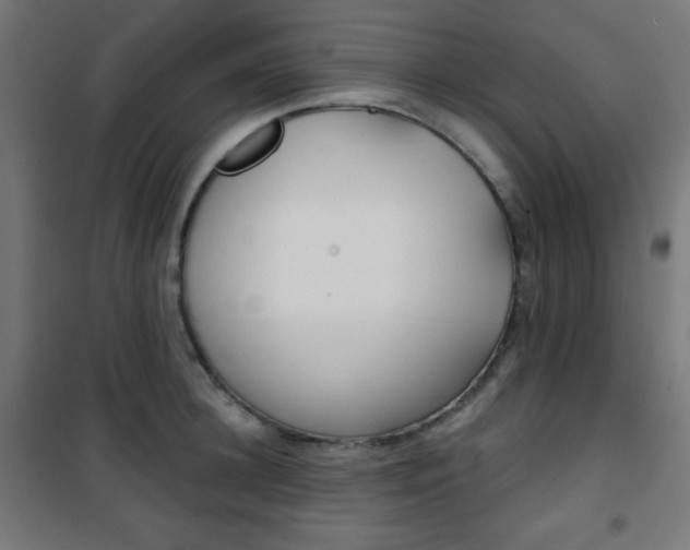 X0000101390948200807071002