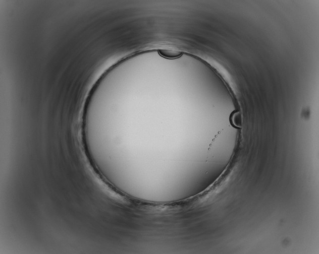 X0000101390949200807071002
