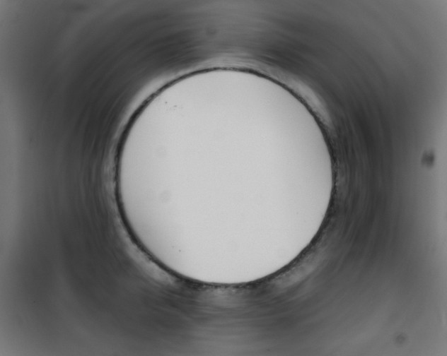 X0000101390950200807071002