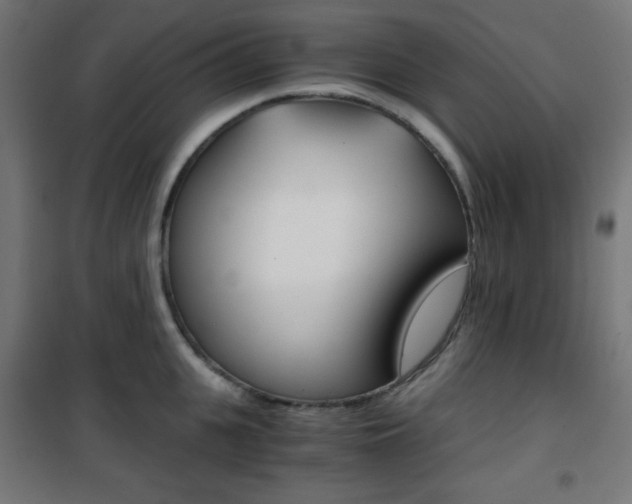 X0000101390951200807071002