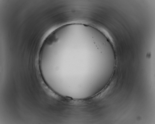X0000101390952200807071002