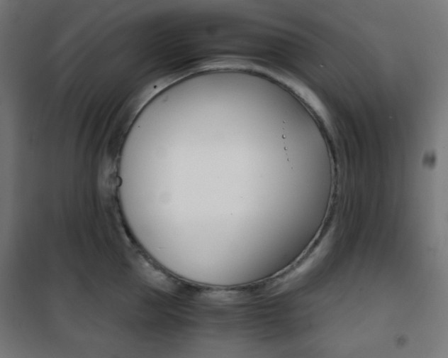 X0000101390953200807071002