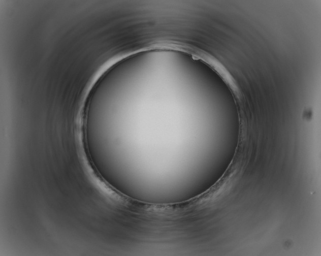 X0000101390955200807071002