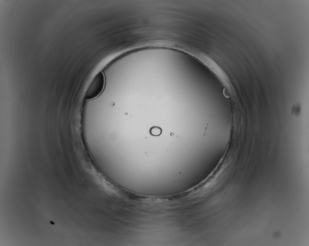 X0000101390956200807071002