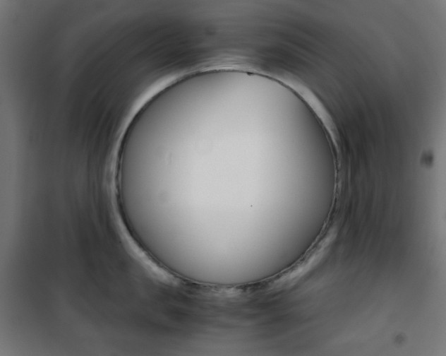 X0000101390957200807071002