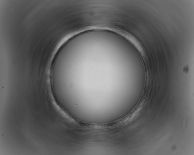 X0000101390958200807071002