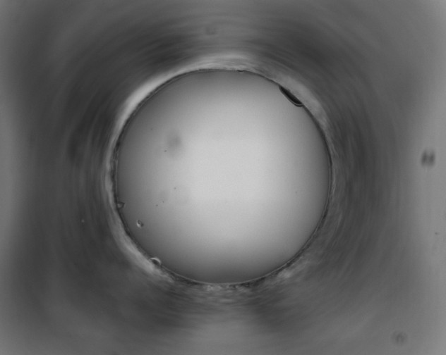 X0000101390960200807071002