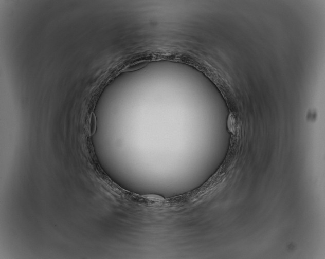 X0000101390961200807071001