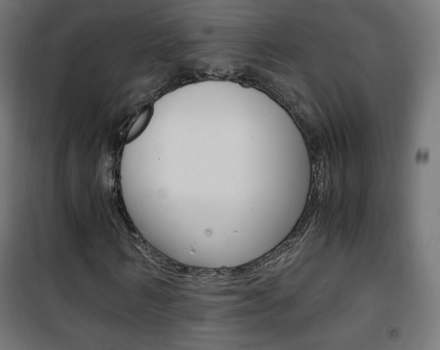 X0000101390962200807071001