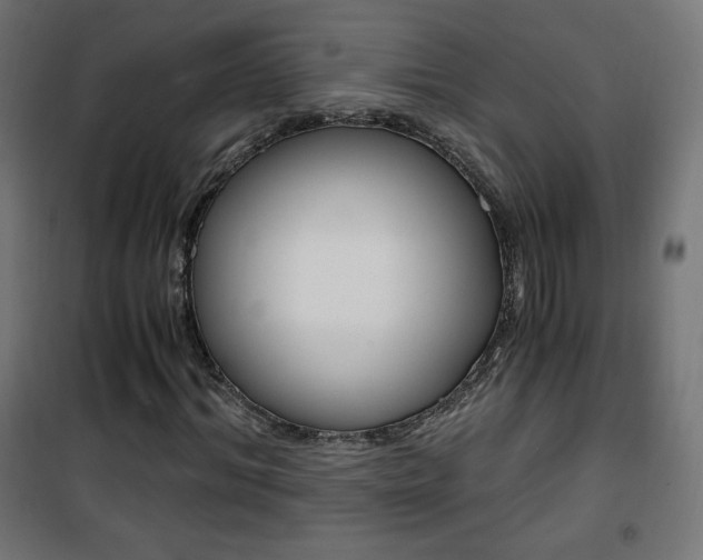 X0000101390964200807071001