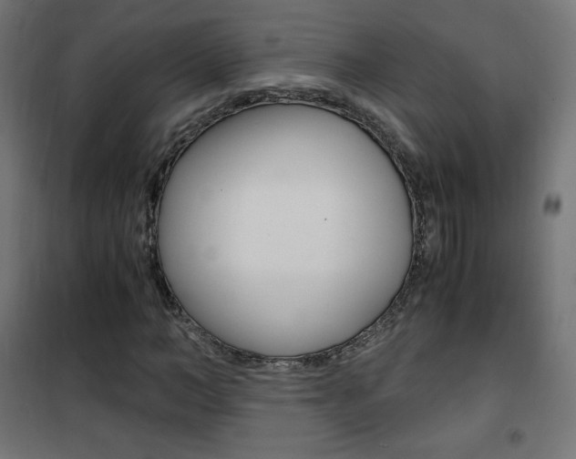 X0000101390966200807071001