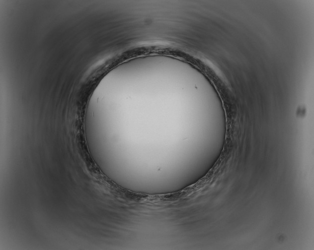 X0000101390967200807071001