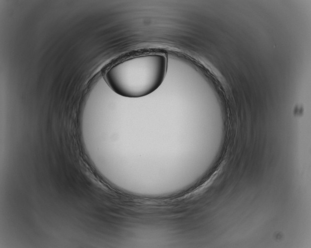 X0000101390969200807071001