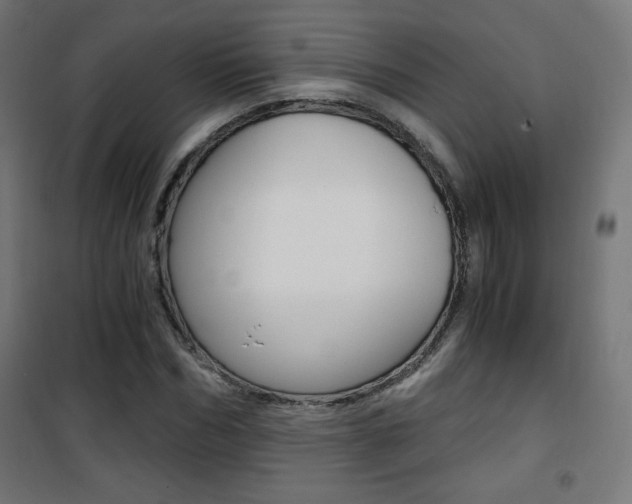 X0000101390970200807071001