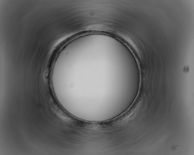 X0000101390971200807071001