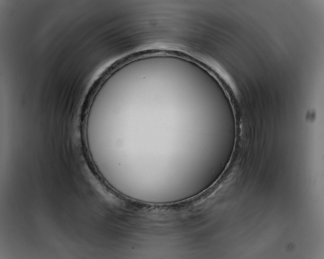 X0000101390972200807071001