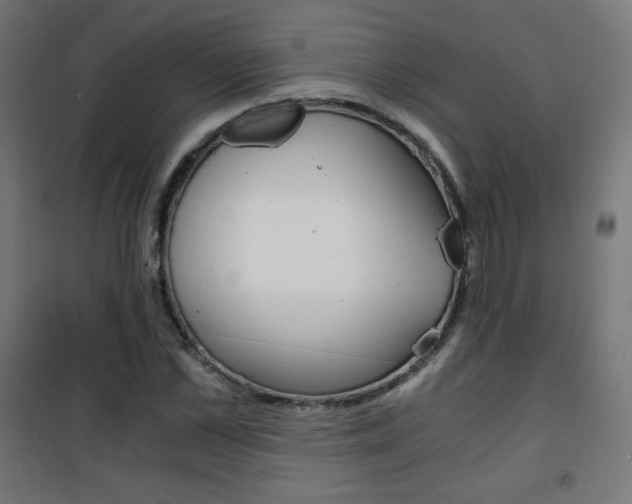 X0000101390973200807071001