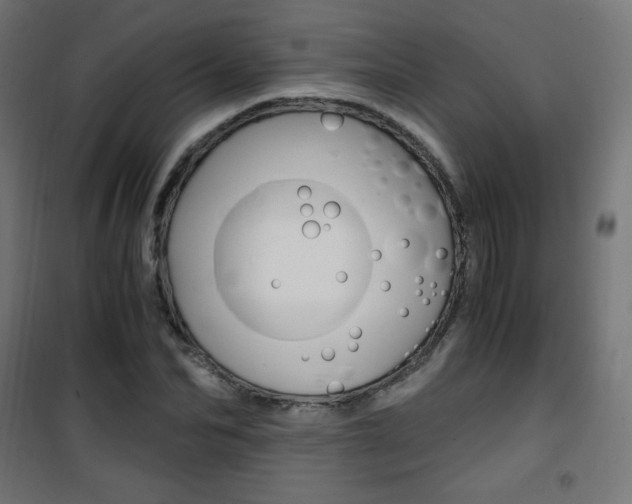X0000101390974200807071001