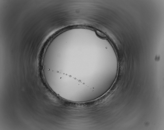 X0000101390975200807071001