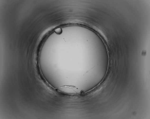 X0000101390979200807071001