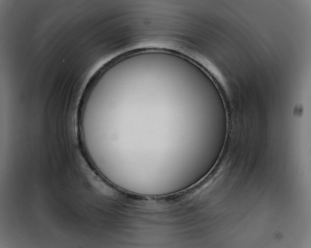 X0000101390980200807071001