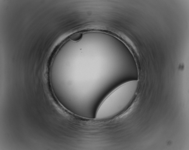 X0000101390981200807071001